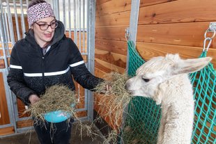 Tiertherapie